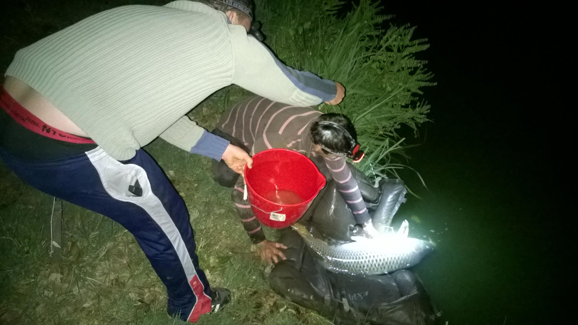 Hermes Peris 12 - 14 septembrie 2014 - wp20140914013.jpg